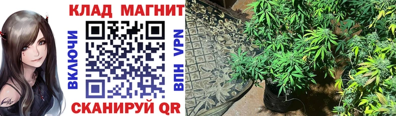 Где можно купить наркотики Кизляр Конопля кракен маркетплейс ГАШИШ МЕФ