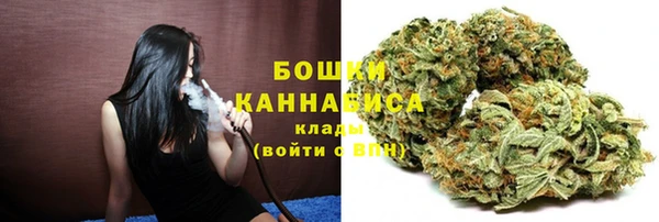дживик Болхов