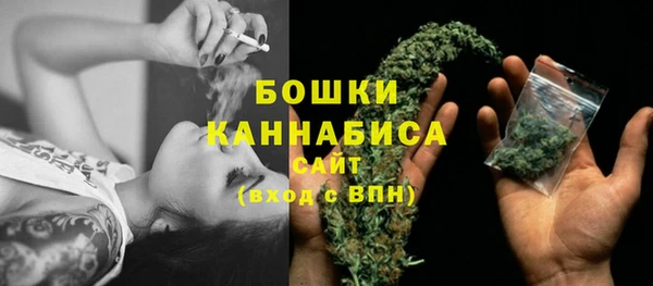 бошки Иннополис