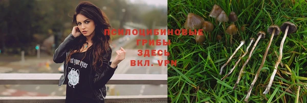 герыч Каменск-Шахтинский