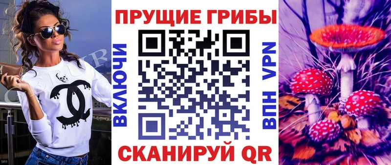 Галлюциногенные грибы Psilocybine cubensis  купить   Кизляр 